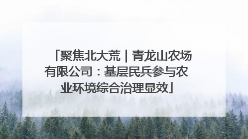 聚焦北大荒｜青龙山农场有限公司：基层民兵参与农业环境综合治理显效