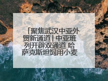 聚焦武汉中亚外贸新通道│中亚班列开辟双通道 哈萨克斯坦饲用小麦将抵鄂