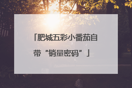 肥城五彩小番茄自带“销量密码”