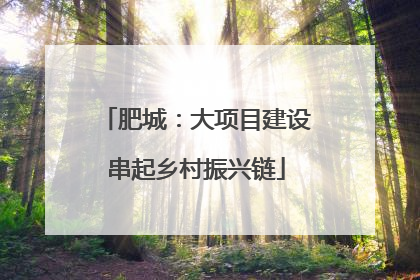 肥城：大项目建设串起乡村振兴链