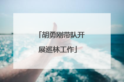 胡勇刚带队开展巡林工作