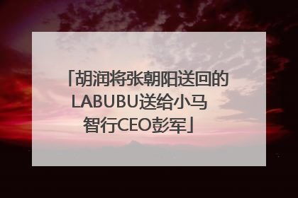 胡润将张朝阳送回的LABUBU送给小马智行CEO彭军