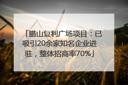腊山复利广场项目：已吸引20余家知名企业进驻，整体招商率70%