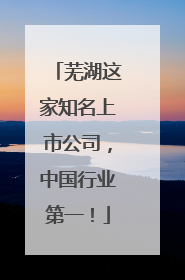 芜湖这家知名上市公司，中国行业第一！