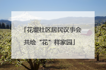 花堤社区居民议事会共绘“花”样家园
