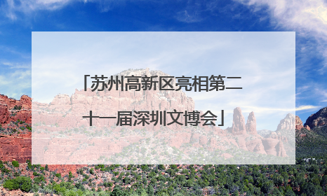 苏州高新区亮相第二十一届深圳文博会