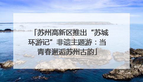 苏州高新区推出“苏城环游记”非遗主题游：当青春邂逅苏州古韵