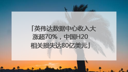 英伟达数据中心收入大涨超70%,中国H20相关损失达80亿美元