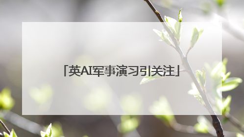 英AI军事演习引关注