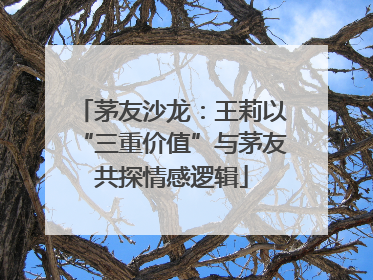 茅友沙龙：王莉以“三重价值”与茅友共探情感逻辑