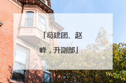 葛建团、赵峰，升副部