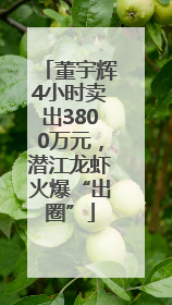 董宇辉4小时卖出3800万元，潜江龙虾火爆“出圈”