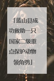 蓝山县成功救助一只国家二级重点保护动物领角鸮