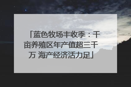 蓝色牧场丰收季：千亩养殖区年产值超三千万 海产经济活力足