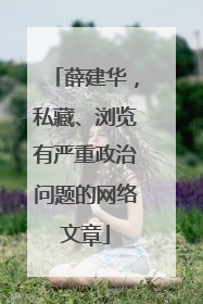薛建华，私藏、浏览有严重政治问题的网络文章
