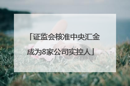 证监会核准中央汇金成为8家公司实控人
