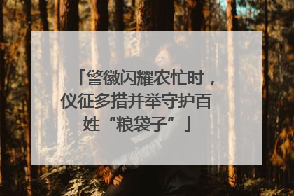 警徽闪耀农忙时，仪征多措并举守护百姓“粮袋子”