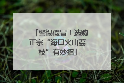 警惕假冒！选购正宗“海口火山荔枝”有妙招