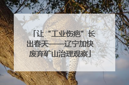 让“工业伤疤”长出春天——辽宁加快废弃矿山治理观察