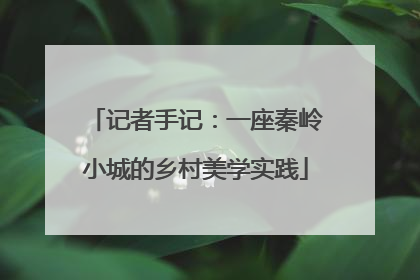记者手记：一座秦岭小城的乡村美学实践