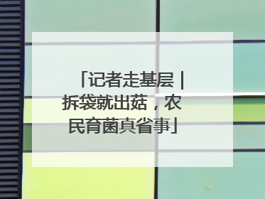 记者走基层｜拆袋就出菇，农民育菌真省事