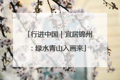 行进中国｜宜居锦州：绿水青山入画来