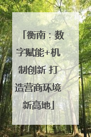 衡南：数字赋能+机制创新 打造营商环境新高地