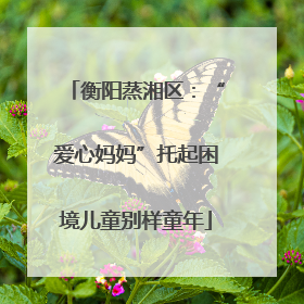 衡阳蒸湘区：“爱心妈妈”托起困境儿童别样童年
