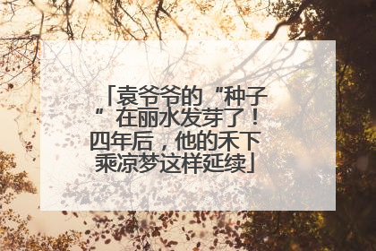 袁爷爷的“种子”在丽水发芽了！四年后，他的禾下乘凉梦这样延续