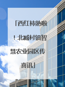 西红柿熟啦！北臧村镇智慧农业园区传喜讯