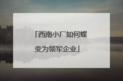 西南小厂如何蝶变为领军企业