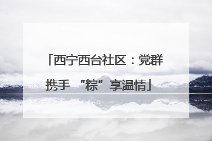 西宁西台社区：党群携手 “粽”享温情