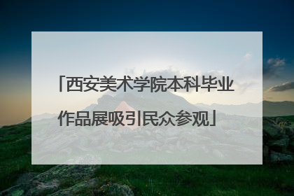 西安美术学院本科毕业作品展吸引民众参观