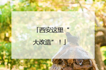 西安这里“大改造”！