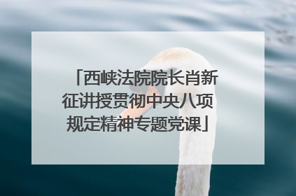 西峡法院院长肖新征讲授贯彻中央八项规定精神专题党课