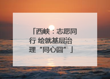 西峡：志愿同行 绘就基层治理“同心圆”