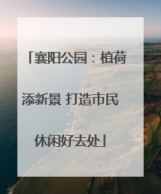 襄阳公园：植荷添新景 打造市民休闲好去处