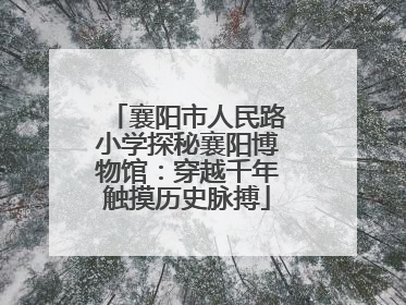 襄阳市人民路小学探秘襄阳博物馆：穿越千年触摸历史脉搏
