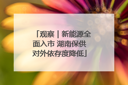 观察｜新能源全面入市 湖南保供对外依存度降低
