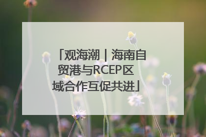 观海潮｜海南自贸港与RCEP区域合作互促共进