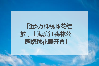 近5万株绣球花绽放，上海滨江森林公园绣球花展开幕