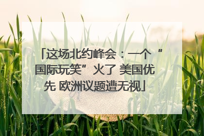 这场北约峰会：一个“国际玩笑”火了 美国优先 欧洲议题遭无视