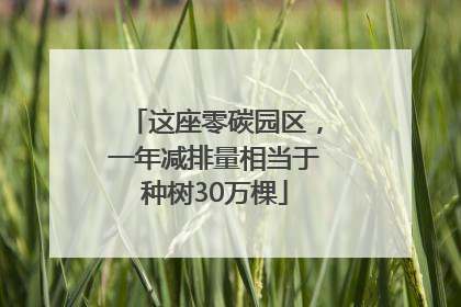 这座零碳园区，一年减排量相当于种树30万棵