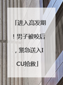 进入高发期！男子被咬后，紧急送入ICU抢救