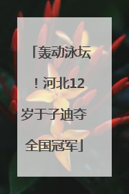 轰动泳坛！河北12岁于子迪夺全国冠军