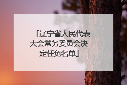 辽宁省人民代表大会常务委员会决定任免名单