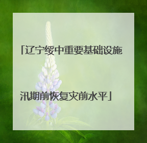 辽宁绥中重要基础设施汛期前恢复灾前水平
