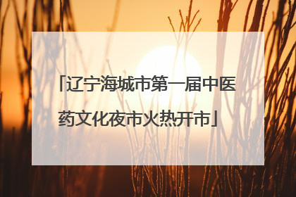 辽宁海城市第一届中医药文化夜市火热开市