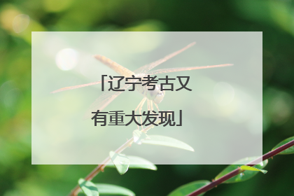 辽宁考古又有重大发现
