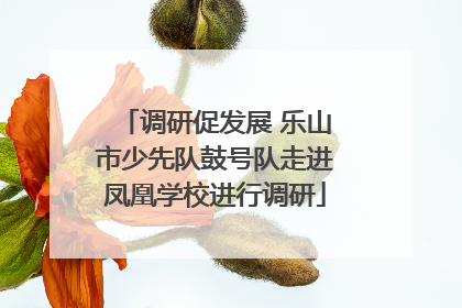 调研促发展 乐山市少先队鼓号队走进凤凰学校进行调研
